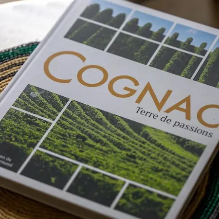 Apartmán Tour Du Palais #terrasse #vue *